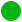 zielona kropka